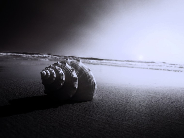 Жемчужный мальчик Джуха