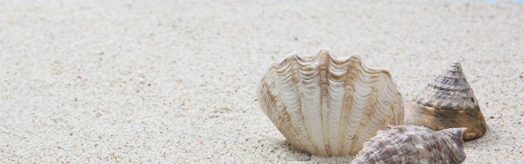 Жемчужный мальчик манхва