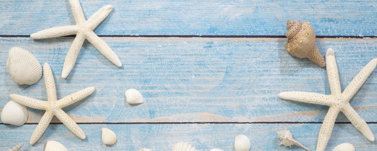 День шумящих ракушек