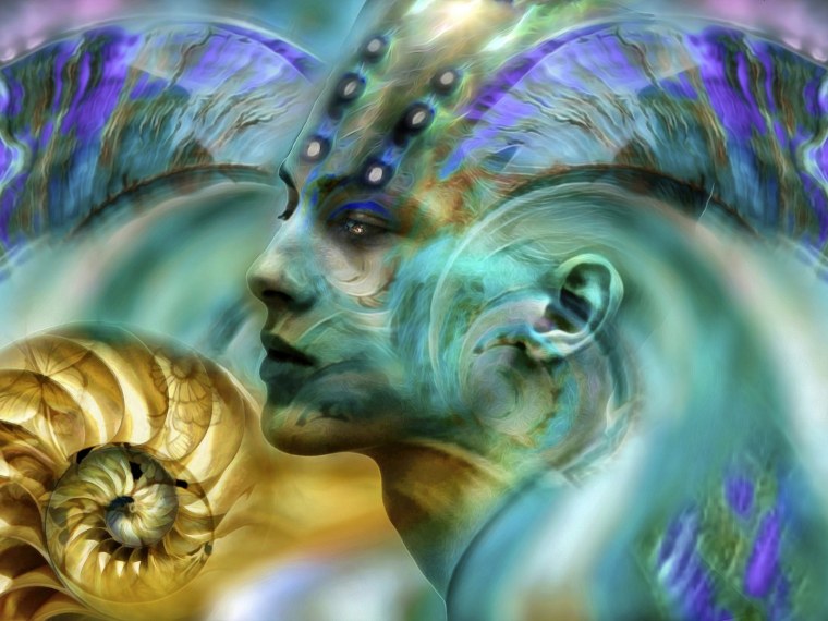 Ракушки на пляже