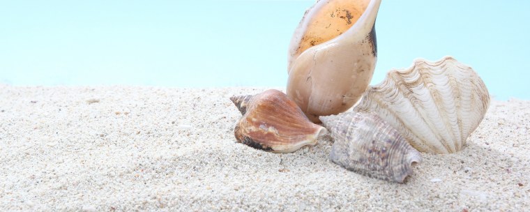 Кан Ду сик манхва