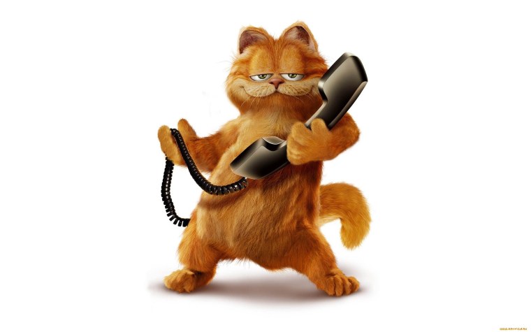 Гарфилд фильм 2004