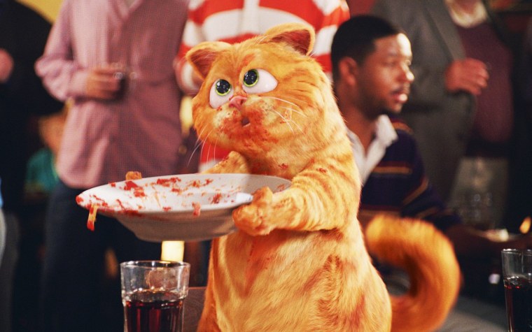 Кот выглядывает на белом фоне