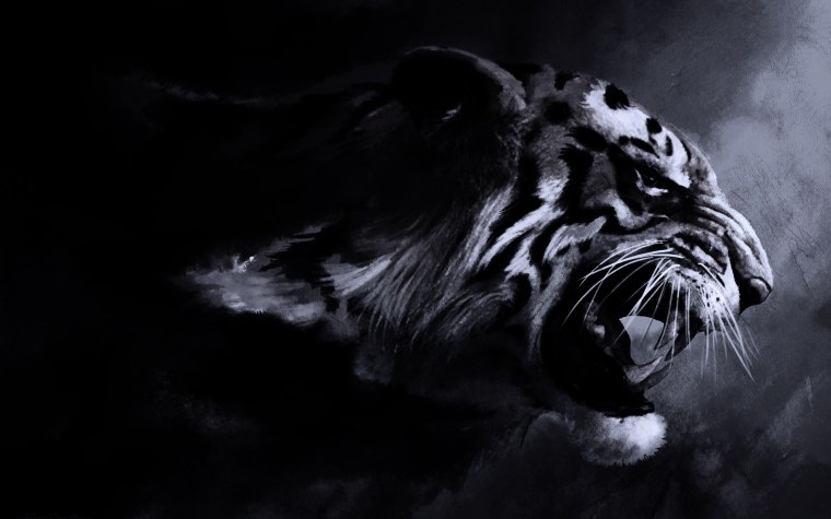 Черный тигр Кишан