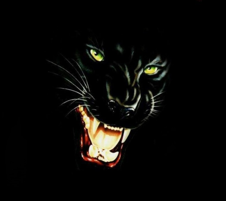 Оскал черно белый