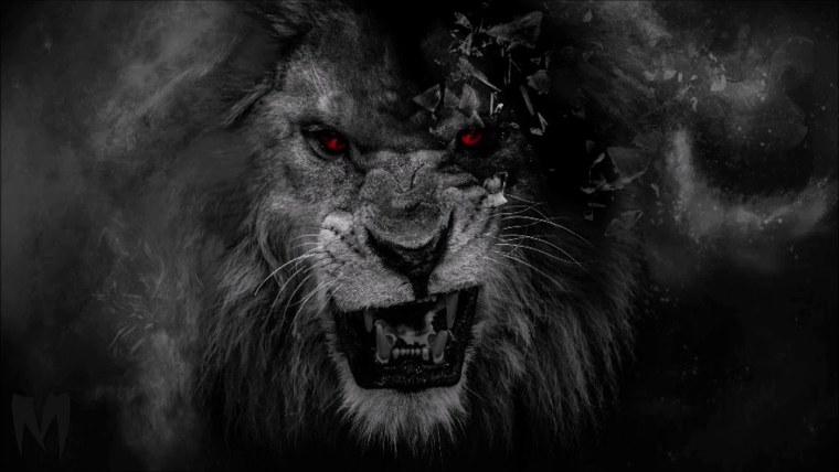 Пума на черном фоне