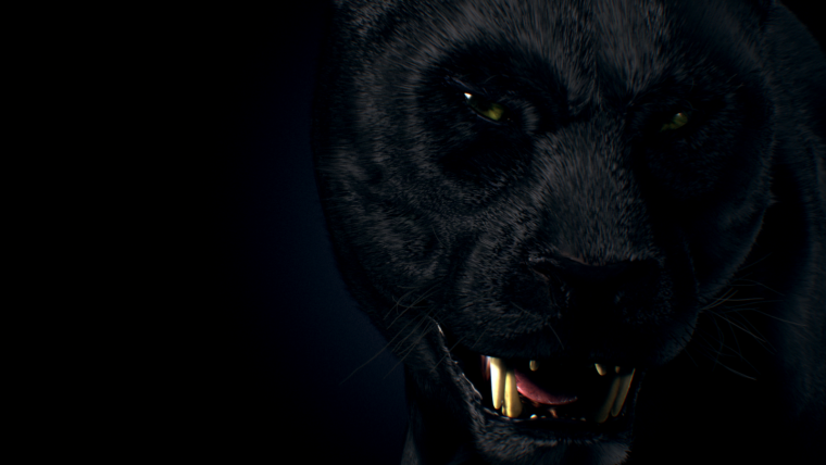 Пантера рычит