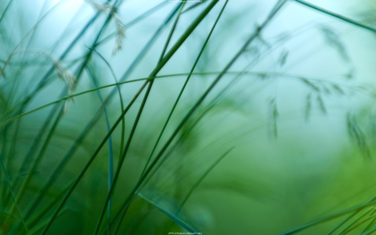 Спокойный фон