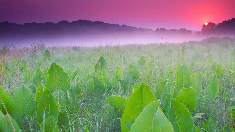 Картинки на рабочий стол успокаивающие