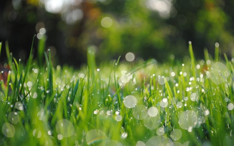 Фон для презентации вода