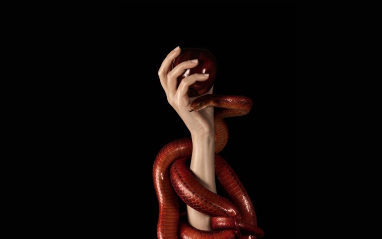 Змея на черном фоне