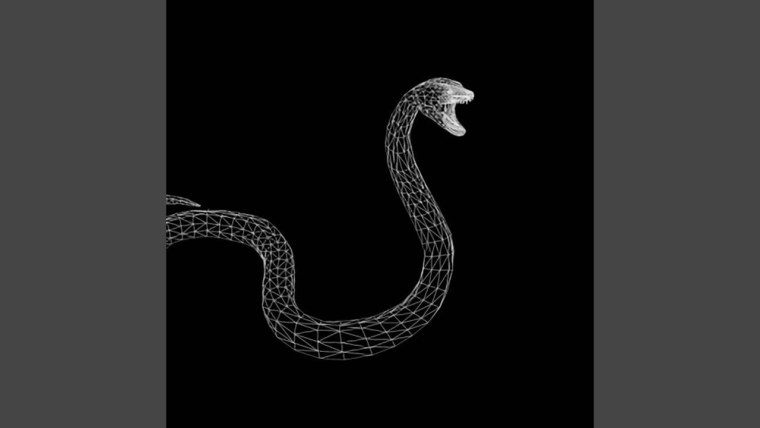 Змеи Эстетика Минимализм
