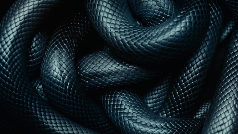 Черные змеи на черном фоне