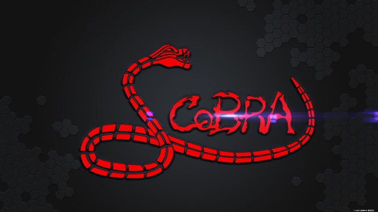 Змеиный узор