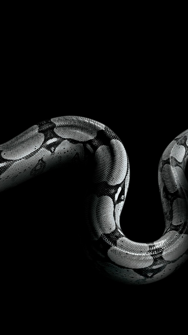 Королевская Кобра мамба