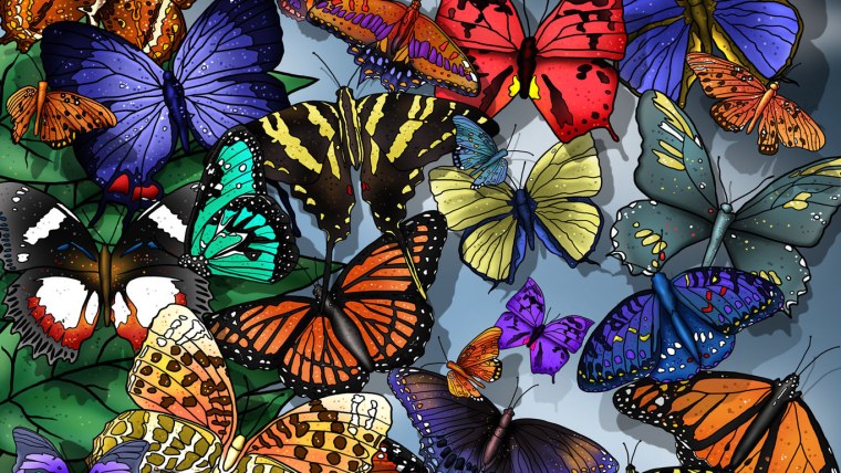 Бабочки с пожеланиями