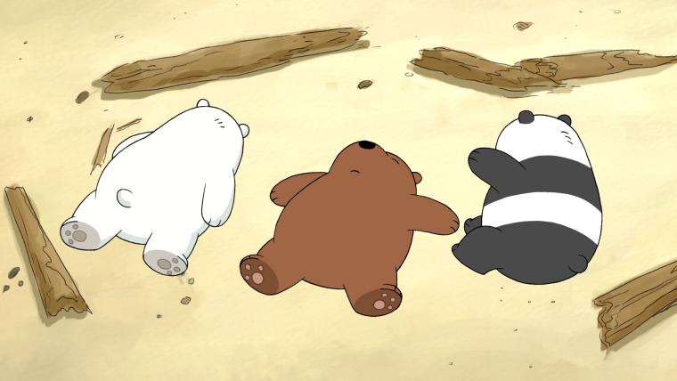 Вся правда о медведях