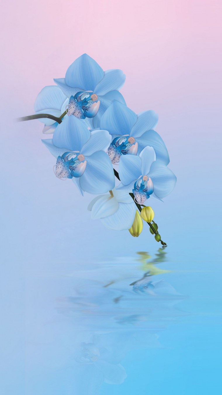 Синие цветы вертикальные