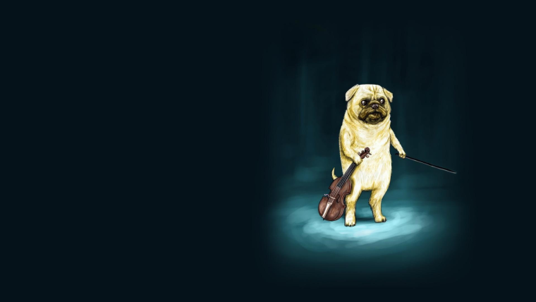 Мопсы 1920x1080