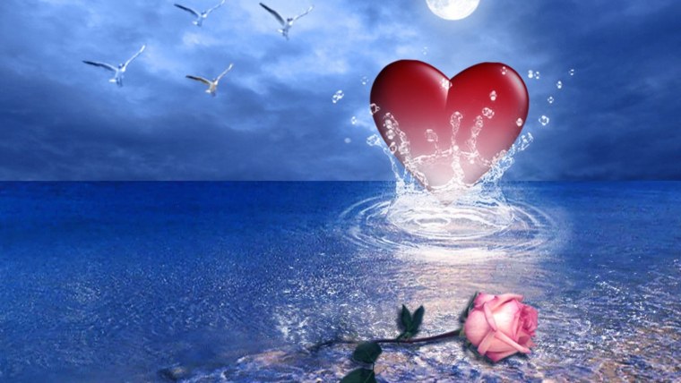 Море счастья океан любви