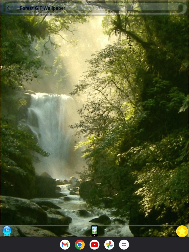 Природа Живая движущаяся