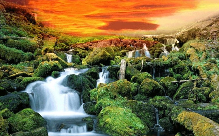 Пейзаж Живая природа