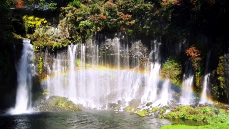 Живые обои на компьютер