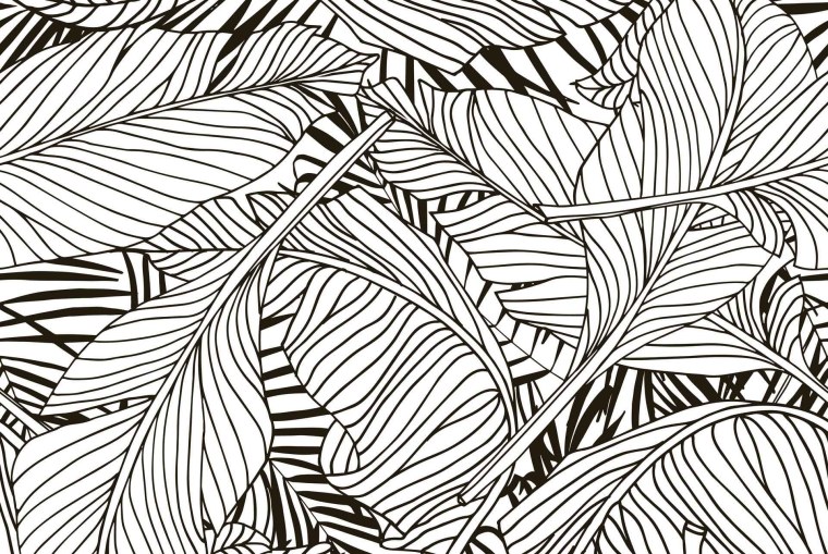 Паттерны листья