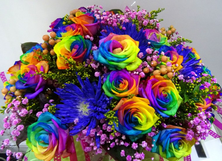 Разноцветные цветы