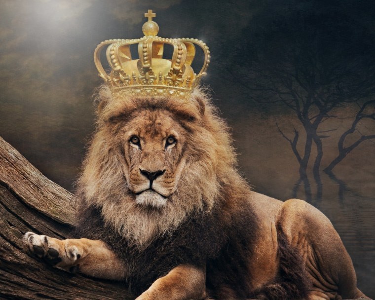 Лев с короной цветной