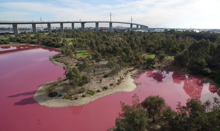 Озеро Хиллер (остров Миддл)